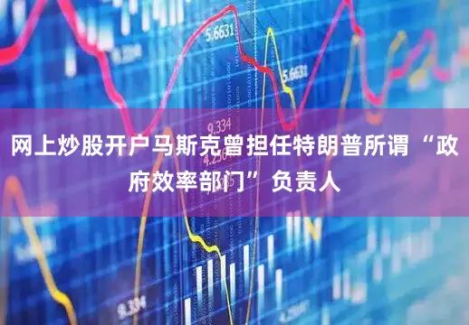 网上炒股开户马斯克曾担任特朗普所谓 “政府效率部门” 负责人