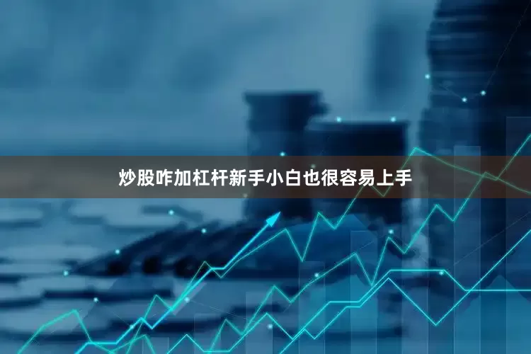炒股咋加杠杆新手小白也很容易上手